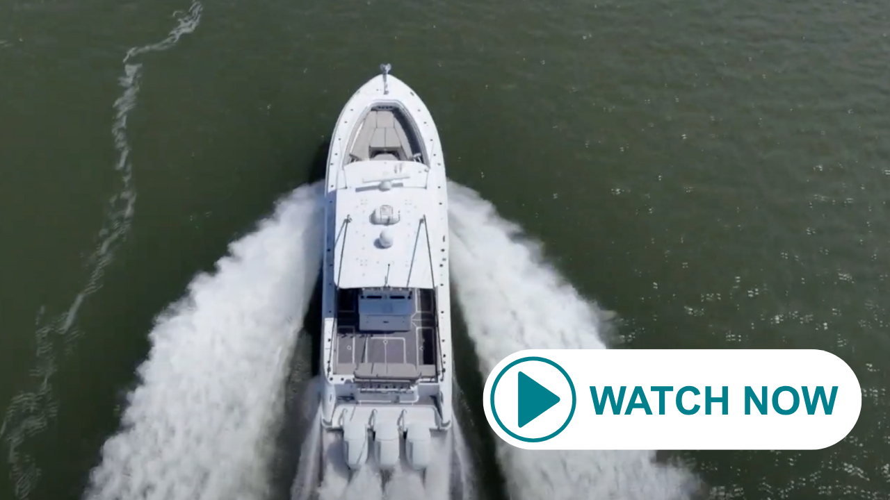 WATCH NOW