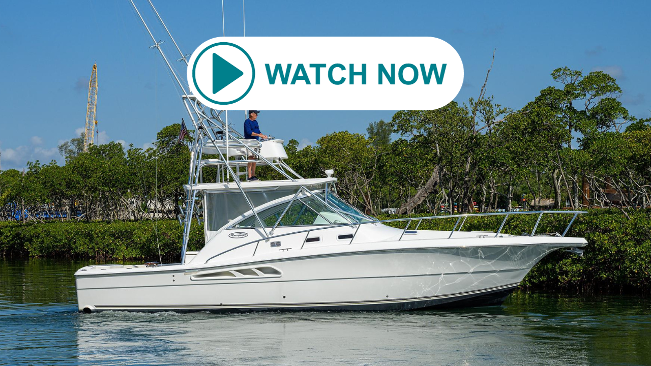 WATCH NOW