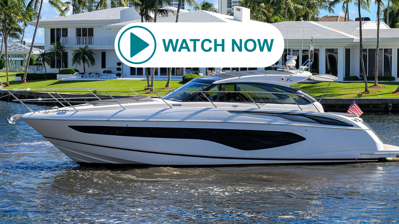 WATCH NOW