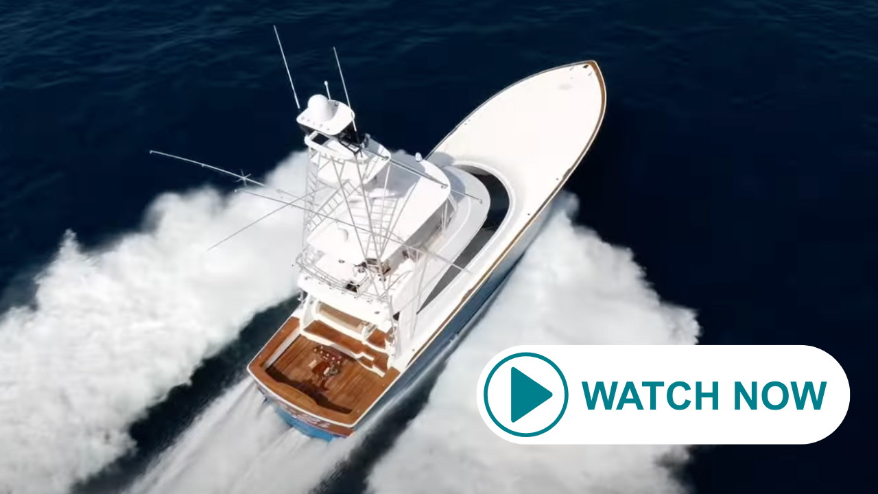WATCH NOW